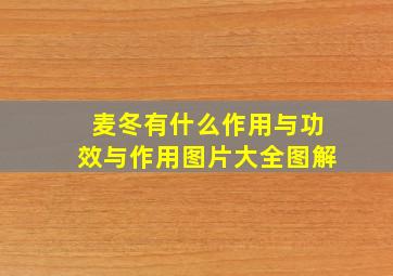 麦冬有什么作用与功效与作用图片大全图解