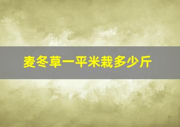 麦冬草一平米栽多少斤