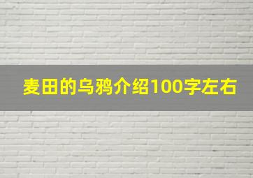 麦田的乌鸦介绍100字左右