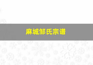 麻城邹氏宗谱