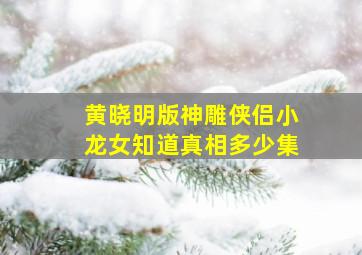 黄晓明版神雕侠侣小龙女知道真相多少集