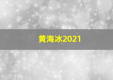 黄海冰2021