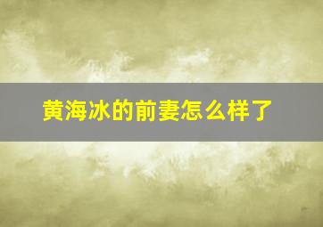 黄海冰的前妻怎么样了