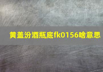 黄盖汾酒瓶底fk0156啥意思