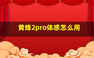 黄蜂2pro体感怎么用