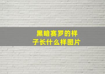 黑暗赛罗的样子长什么样图片