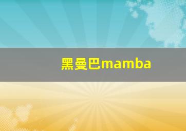 黑曼巴mamba