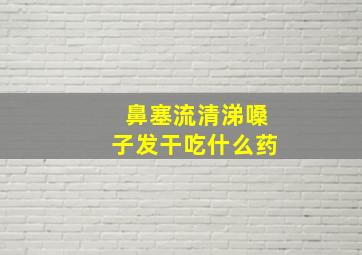 鼻塞流清涕嗓子发干吃什么药