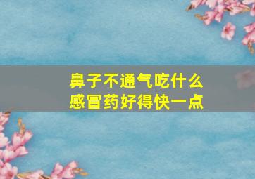 鼻子不通气吃什么感冒药好得快一点