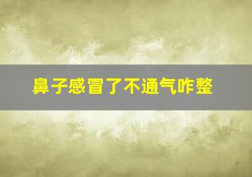 鼻子感冒了不通气咋整