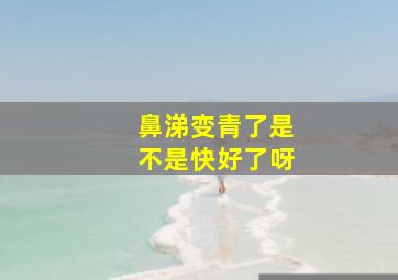 鼻涕变青了是不是快好了呀