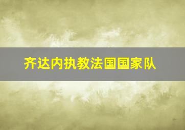 齐达内执教法国国家队