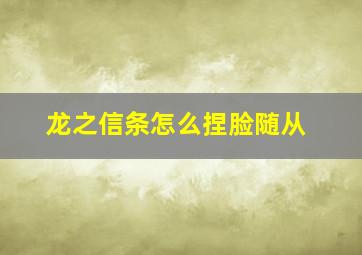 龙之信条怎么捏脸随从