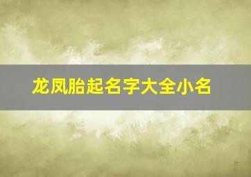 龙凤胎起名字大全小名