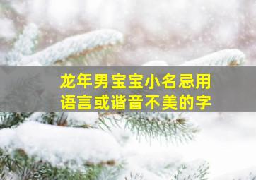 龙年男宝宝小名忌用语言或谐音不美的字