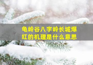 龟岭谷八字岭长城爆红的机理是什么意思