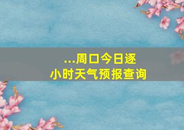 ...周口今日逐小时天气预报查询