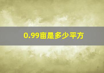 0.99亩是多少平方