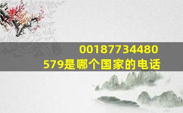 00187734480579是哪个国家的电话