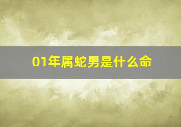 01年属蛇男是什么命