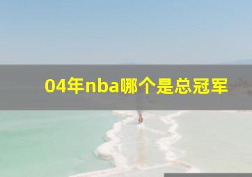 04年nba哪个是总冠军