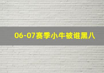 06-07赛季小牛被谁黑八