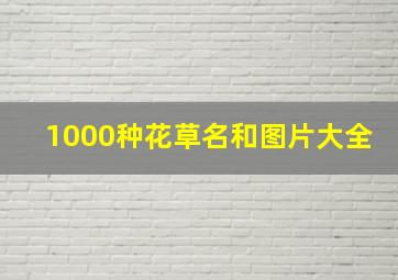 1000种花草名和图片大全