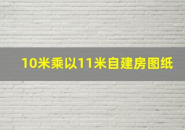 10米乘以11米自建房图纸