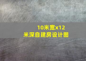 10米宽x12米深自建房设计图