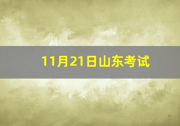 11月21日山东考试