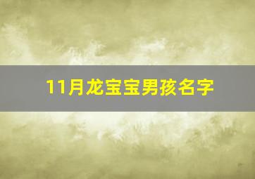 11月龙宝宝男孩名字