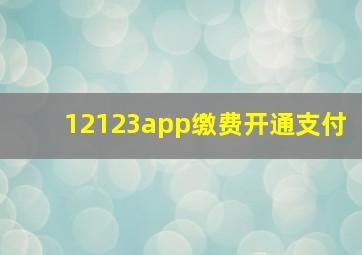 12123app缴费开通支付