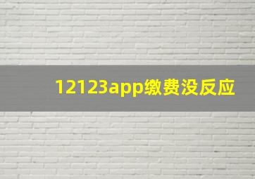 12123app缴费没反应