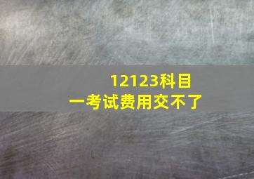 12123科目一考试费用交不了