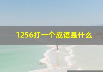 1256打一个成语是什么