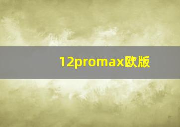 12promax欧版