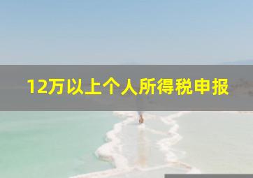 12万以上个人所得税申报