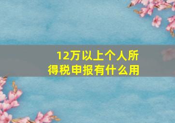 12万以上个人所得税申报有什么用