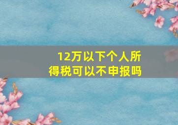 12万以下个人所得税可以不申报吗