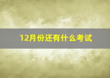 12月份还有什么考试