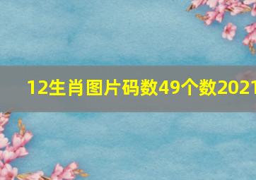 12生肖图片码数49个数2021