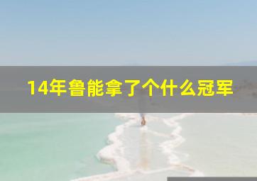 14年鲁能拿了个什么冠军