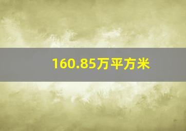 160.85万平方米