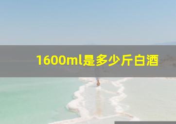 1600ml是多少斤白酒