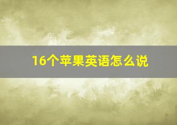 16个苹果英语怎么说