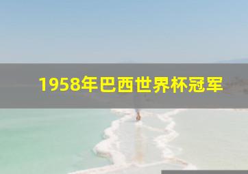 1958年巴西世界杯冠军