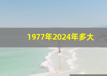 1977年2024年多大