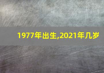 1977年出生,2021年几岁