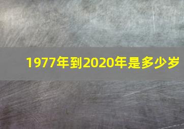 1977年到2020年是多少岁