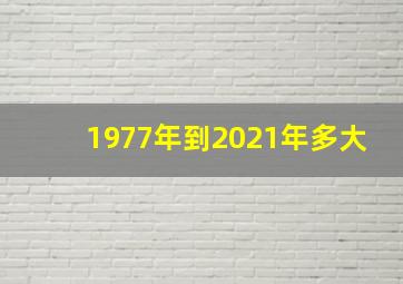 1977年到2021年多大